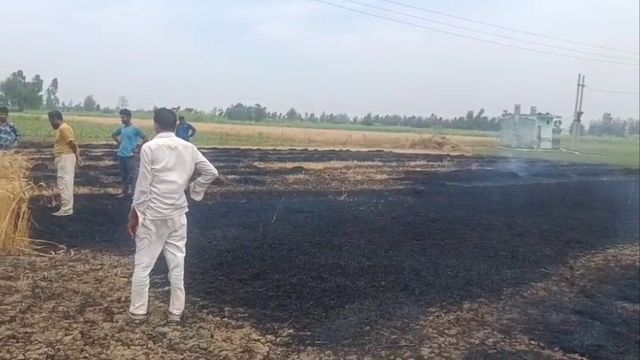 बिजनौर में हाईटेंशन लाइन से किसान की पांच बीघा गेहूं की फसल जली, 70 हजार रुपये के नुकसान का अनुमान
