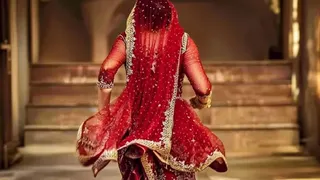 इसमें प्रतीकात्म तस्वीर लगाई गई है।