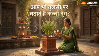 क्या आप भी चढ़ाते हैं तुलसी के पौधे पर कच्चा दूध (Image Source: AI-Generated)
