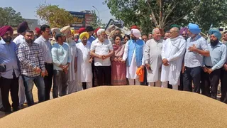 सरहिंद अनाज मंडी का दौरा करते हुए मंत्री लाल चंद कटारूचक