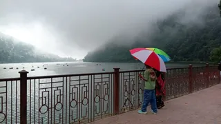 फाइल फोटो।