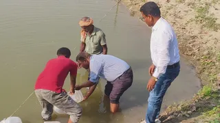 सिमरीबख्तियारपुर में झींगापालन। फोटो जागरण