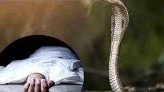 प्रतीकात्मक फोटो