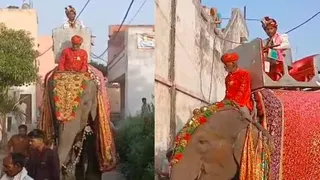 गांव मंदौड़ में हाथी पर सवार दूल्हा अंकित। वीडियो ग्रैब