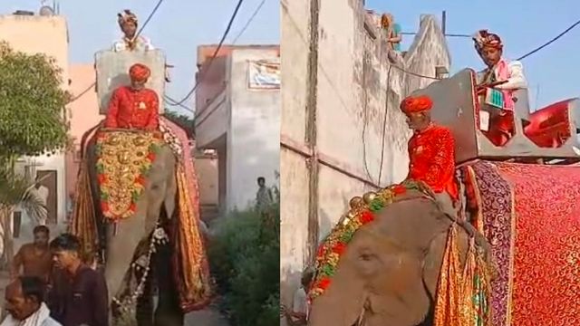 दूल्हे मियां आए हाथी पर होकर सवार, हाथ में लिए तलवार... इस अंदाज में पहुंचे दुल्हन के द्वार

