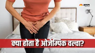 क्या है 'ओजेम्पिक वल्वा' जिसका सोशल मीडिया पर हो रहा है जिक्र? (Picture Courtesy: Freepik)