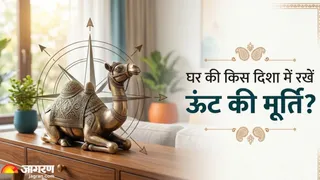 ऊंट की मूर्ति रखने के वास्तु टिप्स (Image Source: AI-Generated)