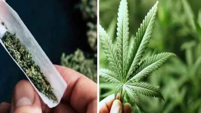 News Article Hero Image