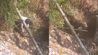 वन विभाग के कर्मचारी ने तेंदुए पर काबू करने करने की कोशिश की, लेकिन वह बच निकला। (वीडियो ग्रैब)