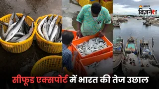 सीफूड एक्सपोर्ट में तेज बढ़ोतरी ₹72,000 करोड़ पहुंचा कारोबार