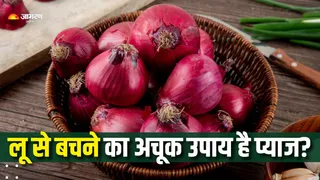 गर्मी में रोज खाएं कच्चा प्याज (Picture Courtesy: Freepik)