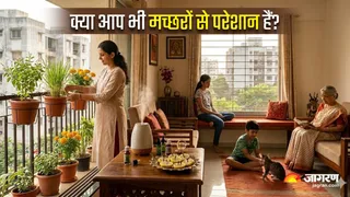 मलेरिया से बचना है? आज ही आजमाएं ये 6 नेचुरल तरीके, पास भी नहीं फटकेंगे मच्छर (Image Source: AI-Generated)