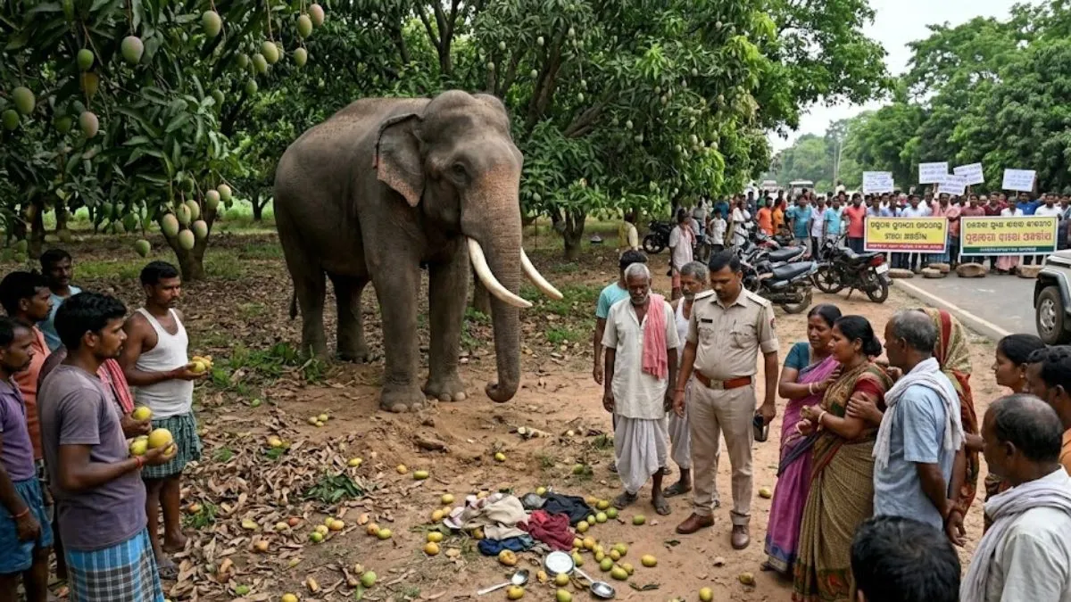 ओडिशा में हाथी ने मां-बेटे को कुचला, मौत के बाद ग्रामीणों ने किया रास्ता जाम
