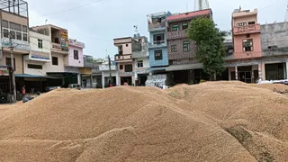 गोहाना की अनाज मंडी में खुला पड़ा अनाज। जागरण