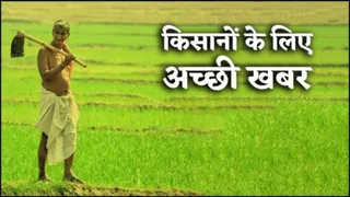 गेहूं उत्पादक किसानों के लिए खुशखबरी (प्रतीकात्मक चित्र)