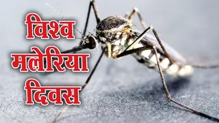 विश्व मलेरिया दिवस