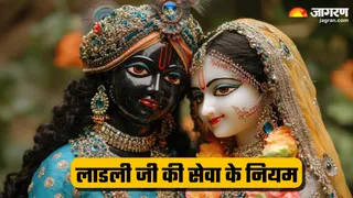 लाडली जी की सेवा के नियम (Picture Credit: Freepik)