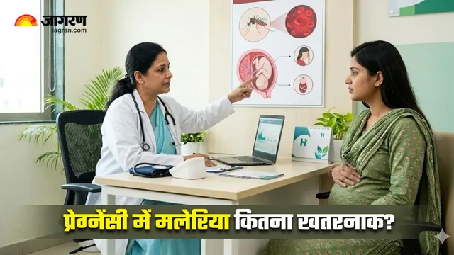 सावधान! प्रेग्नेंसी में मलेरिया बन सकता है प्रीमैच्योर डिलीवरी की वजह, ऐसे करें अपना बचाव