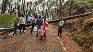 अंधड़ व मूसलाधार बारिश से मार्ग गिरा पेड़।