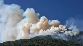 साहिया क्षेत्र में कोठा गांव के पास आरक्षित वन क्षेत्र में लगी आग के कारण उठता धुंआ। जागरण