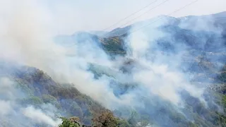 चकराता छावनी के पास चिरमिरी बीट के जंगल में लगी आग। जागरण