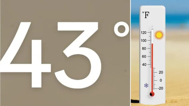 News Article Hero Image