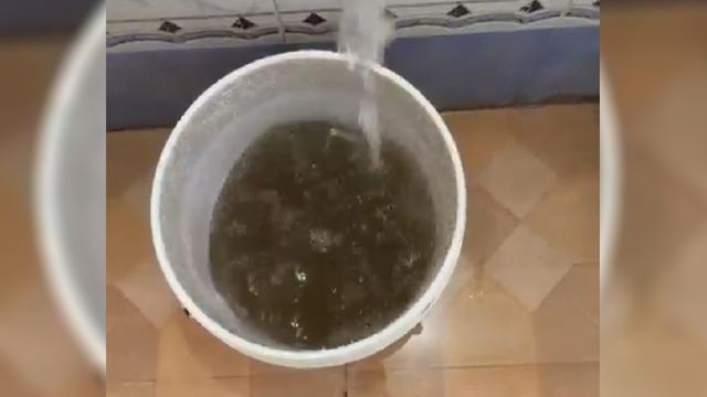 पानी ऐसा कि पीना तो दूर देखने से ही उल्टी आ जाए... अंबाला में बूंद-बूंद को तरसे लोग
