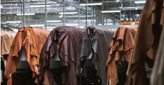 News Article Hero Image
