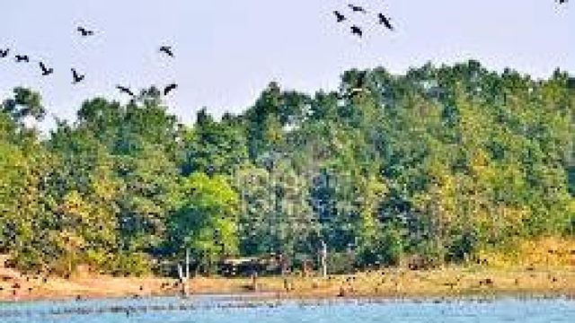 झाड़ग्राम जू में 'समरस्पेशल'इंतजाम: भालू-तेंदुओं को ओआरएस और खीरा-तरबूज, गर्मी से बचाने के लिए पुआल के शेल्टर
