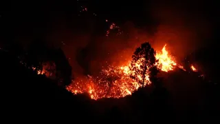 नैनीताल के आलूखेत क्षेत्र के जंगल में बीते दिनों लगी आग