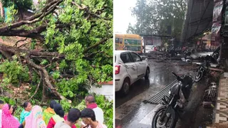 बागेश्वर के घटबगड़ में मकान की छत में गिरा आम का पेड़। वहीं, अंधड़ से उड़ी टिन की छत। जागरण