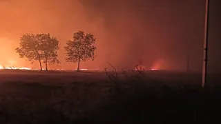 गांव सिकंदरपुर माजरा, खेड़ी दमकन और बड़ौता के खेतों में आग तेजी से फैल गई और 200 एकड़ से अधिक में फाने जलकर राख हो गए।