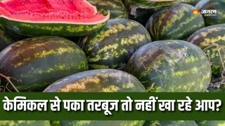 केमिकल से पका तरबूज सेहत को पहुंचाता है नुकसान (Picture Courtesy: Freepik)