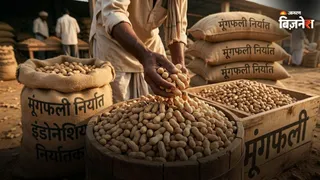 इंडोनेशिया में इंपोर्ट नियम में सख्ती से भारत की मुश्किलें बढ़ीं (AI Image)