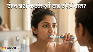 दांतों की सेहत सुधारने के लिए अपनाएं ब्रशिंग के ये 4 प्रभावी तरीके (Picture Credit- AI Generated)
