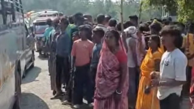 कोडरमा के कटैया गांव में हाथियों का आतंक जारी, दो घरों को किया ध्वस्त; पशुओं की मौत
