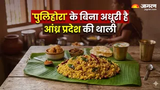 जानिए आंध्र प्रदेश के मशहूर 'पुलिहोरा' के बारे में (Image Source: AI-Generated)