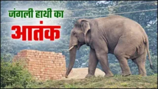 प्रतीकात्मक फोटो