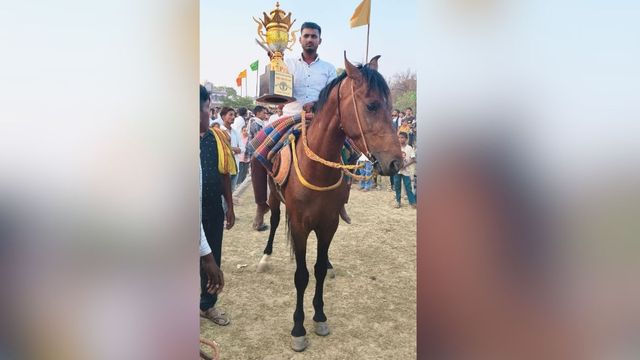 अयोध्या की रेस में ‘नालंदा सूरज’ की चमक, देश भर के घोड़ों को पछाड़ रचा जीत का इतिहास
