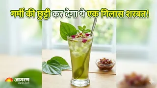 भयंकर गर्मी का रामबाण इलाज है पान का शरबत (Image Source: AI-Generated)