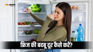 कैसे भगाएं फ्रिज की दुर्गंध? (Picture Courtesy: Freepik)