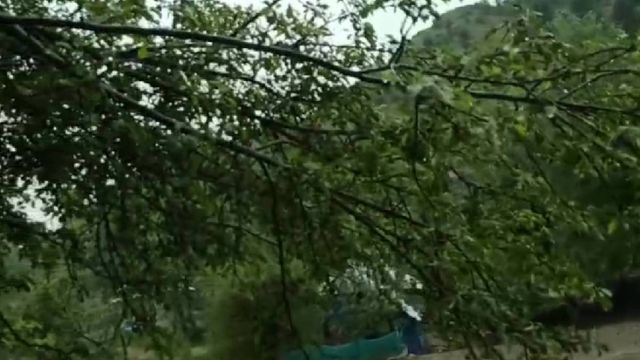 जम्मू-कश्मीर में बदला मौसम का मिजाज, पीर पंजाल में बर्फबारी और पुंछ में ओलावृष्टि; फसलों को नुकसान

