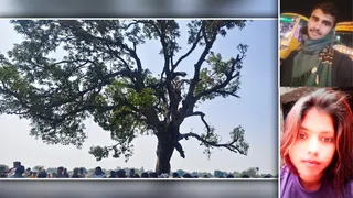 इसी पेड़ पर लगायी थी दोनों ने फांसी और सर्वेंद्र और नन्ही का फाइल फोटो