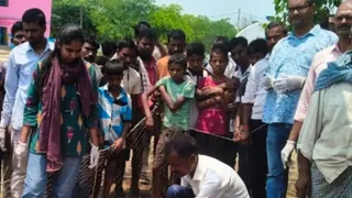 नवादा में आंधी-पानी के बीच आवारा कुत्तों का हमला, 40 भेड़ों की मौत से पशुपालक को भारी नुकसान