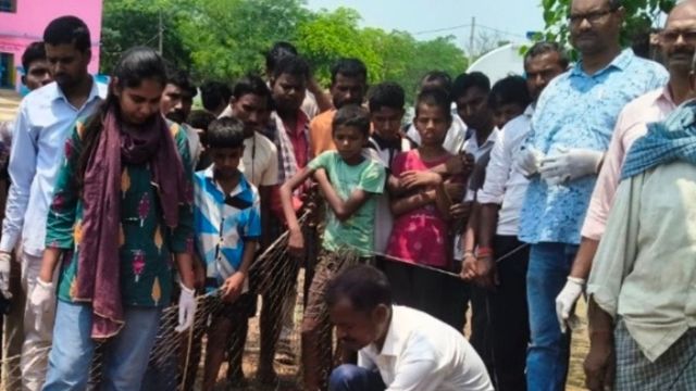 नवादा में आंधी-पानी के बीच आवारा कुत्तों का हमला, 40 भेड़ों की मौत से पशुपालक को भारी नुकसान
