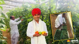 दोनों गांवों में करीब साढ़े सात सौ पाली हाउस बन गए हैं।