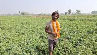 15 बीघा जमीन लीज पर लेकर युवा किसान ने बदली तकदीर, सालाना 30 लाख की कमाई