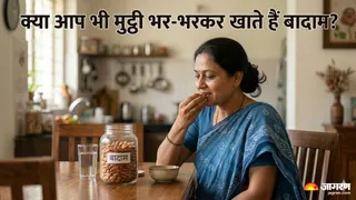 ज्यादा बादाम खाने के नुकसान और सही तरीका (Picture Credit- AI Generated)