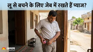 जेब में प्याज रखने से लू नहीं लगती, जानें सच (Picture Credit- AI Generated)