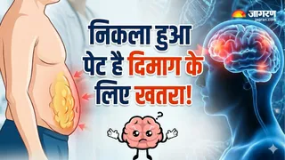 क्या आपका पेट आपके दिमाग को बूढ़ा कर रहा है? (Image Source: AI-Generated)
